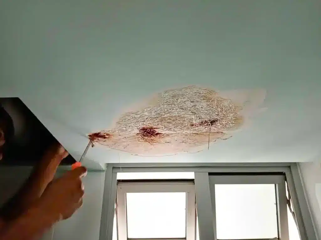 Water Heater leaking ceiling