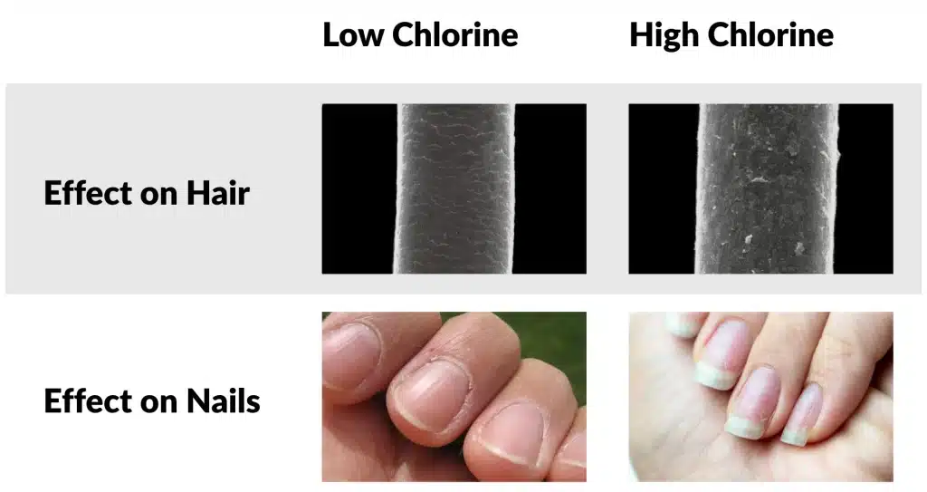 Effect of Chlorine Water on hair and nails