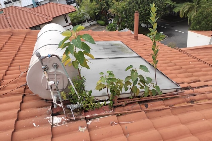 plants solar tank leak roof